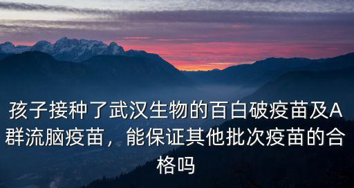 打了武漢生物百白破疫苗怎么查批次,怎么查所打疫苗的批次
