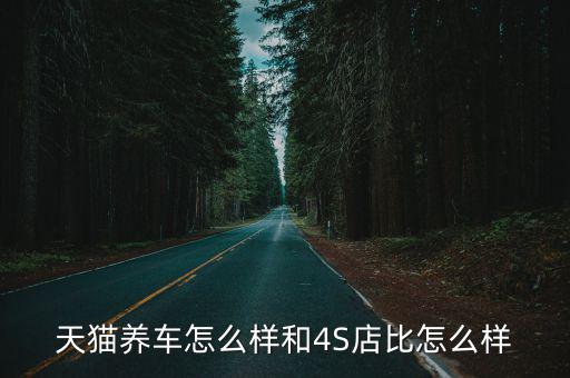 荊州天貓養車怎么樣,天貓養車怎么樣
