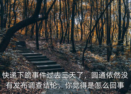 快遞下跪事件過去三天了，圓通依然沒有發布調查結論，你覺得是怎么回事