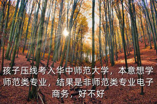 孩子壓線考入華中師范大學，本意想學師范類專業，結果是非師范類專業電子商務，好不好