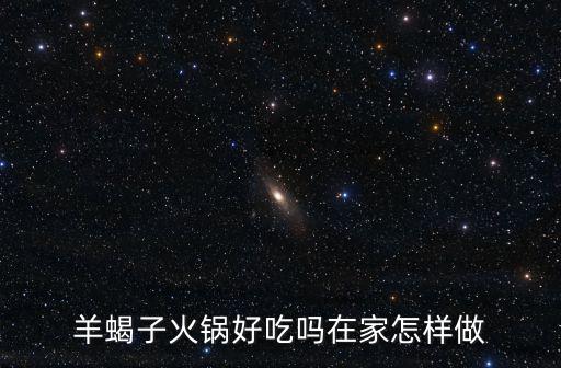 羊魚鍋羊蝎子火鍋宜昌店怎么樣,羊蝎子火鍋好吃嗎