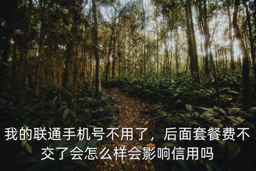 武漢聯(lián)通欠費不銷戶會怎么樣,聯(lián)通卡一直欠費會怎么樣