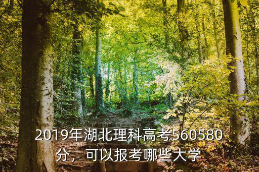 2019年湖北理科高考560580分，可以報考哪些大學