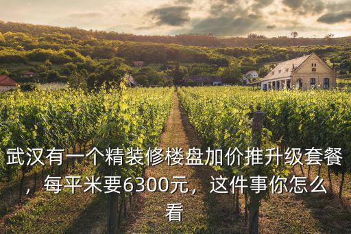 武漢有一個精裝修樓盤加價推升級套餐，每平米要6300元，這件事你怎么看