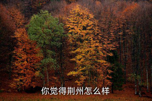 你覺得荊州怎么樣