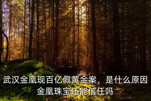 武漢假黃金案怎么處理,武漢金凰現(xiàn)百億假黃金案