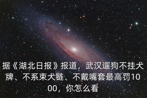 據《湖北日報》報道，武漢遛狗不掛犬牌、不系束犬鏈、不戴嘴套最高罰1000，你怎么看