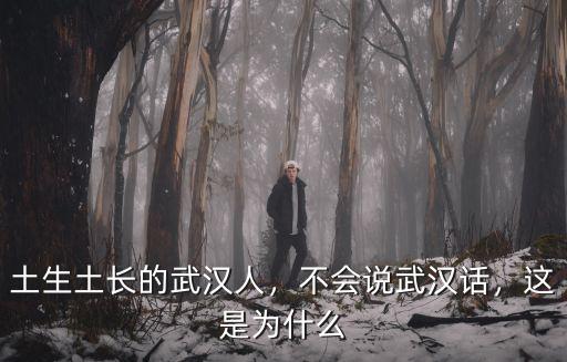 土生土長的武漢人，不會說武漢話，這是為什么