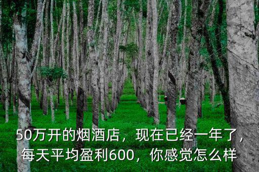 現在在十堰開煙酒店怎么樣,在鄉鎮開個煙酒店怎么樣