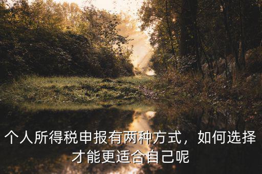 個人所得稅申報有兩種方式，如何選擇才能更適合自己呢