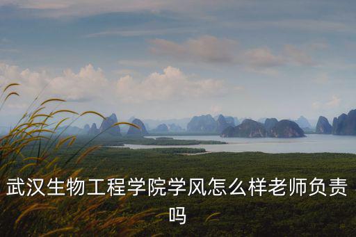 武漢生物工程學院學風怎么樣老師負責嗎