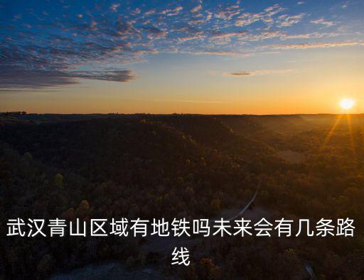 武漢青山怎么最后通地鐵,武漢青山區域有地鐵嗎