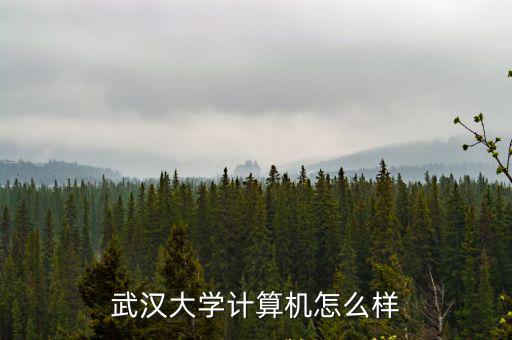 武漢大學計算機怎么樣