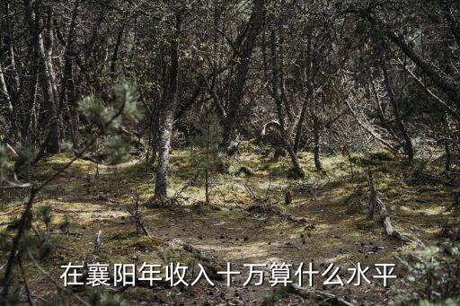 在襄陽年收入十萬算什么水平