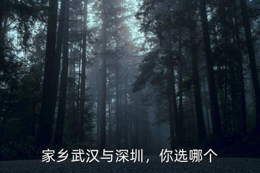 武漢和錦州怎么選,同濟(jì)和武漢大學(xué)該怎么選