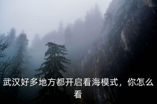 武漢暴雨后怎么看海,為什么武漢一下雨就看海