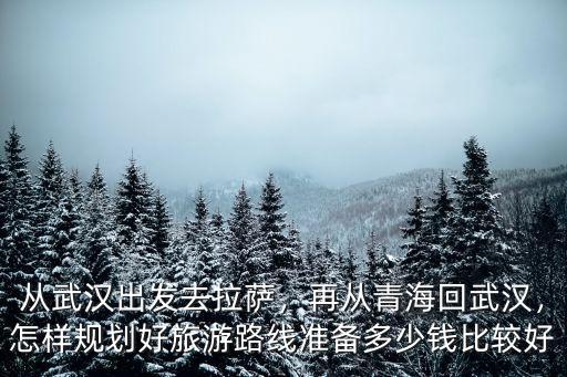 從武漢出發(fā)去拉薩，再?gòu)那嗪；匚錆h，怎樣規(guī)劃好旅游路線準(zhǔn)備多少錢比較好
