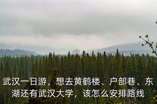 武漢東湖怎么買票,東湖還有武漢大學