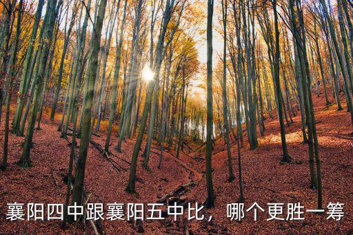 襄陽四中跟襄陽五中比，哪個更勝一籌