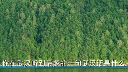 你在武漢聽到最多的一句武漢話是什么