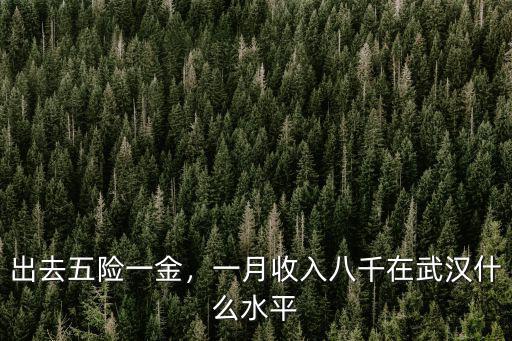 出去五險(xiǎn)一金，一月收入八千在武漢什么水平