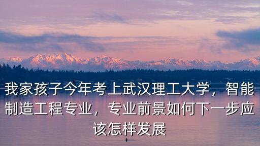 我家孩子今年考上武漢理工大學，智能制造工程專業，專業前景如何下一步應該怎樣發展