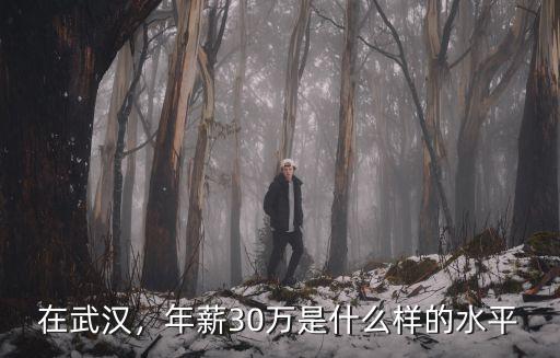 武漢陳圖璜醫療水平怎么樣,武漢的醫療水平怎么樣