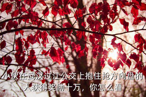 小伙在武漢過江公交上抱住搶方向盤的人獲得獎勵十萬，你怎么看