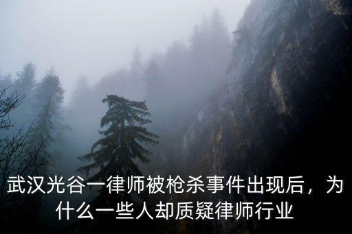 武漢光谷一律師被槍殺事件出現后，為什么一些人卻質疑律師行業