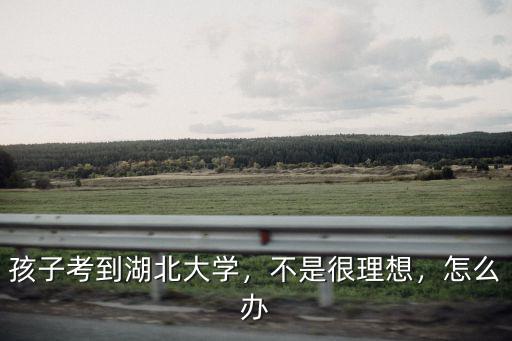 孩子考到湖北大學，不是很理想，怎么辦