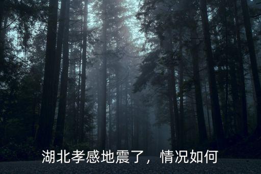 湖北孝感地震了，情況如何