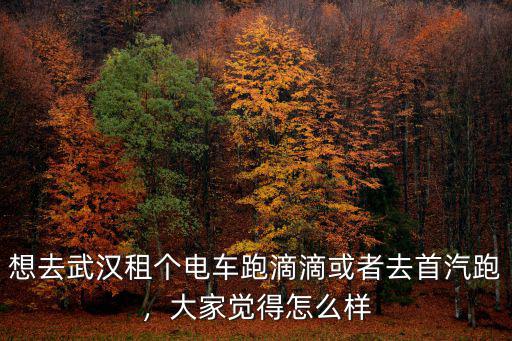 想去武漢租個電車跑滴滴或者去首汽跑，大家覺得怎么樣