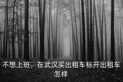 在武漢京韻時代上班怎么樣,在武漢打工生活怎么樣
