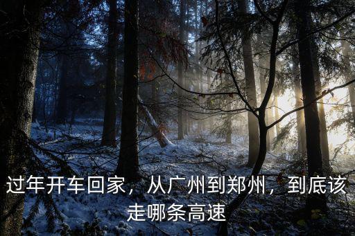 廣東到隨州高速怎么走,到底該走哪條高速