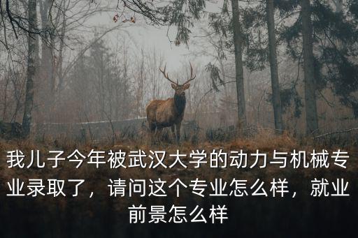 武漢宇信機(jī)械怎么樣,武漢大學(xué)機(jī)械專業(yè)怎么樣