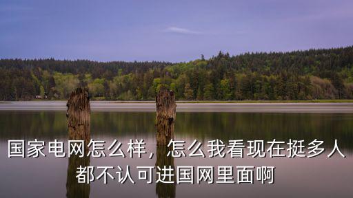 國家電網(wǎng)湖北怎么進不去,國家電網(wǎng)怎么樣