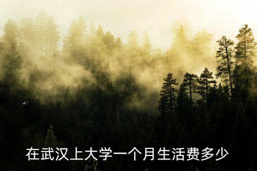 在武漢上大學一個月生活費多少