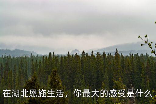 湖北恩施人的口味是怎么樣的,湖北恩施的臘肉味道怎么樣