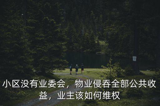 小區沒有業委會，物業侵吞全部公共收益，業主該如何維權