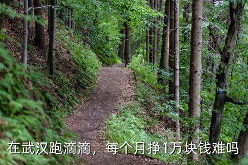在武漢跑滴滴，每個月掙1萬塊錢難嗎