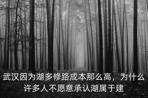 武漢因為湖多修路成本那么高，為什么許多人不愿意承認湖屬于建