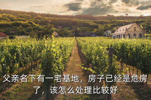 鄂州農民房屋成危房政府是怎么處理,房子已經是危房了