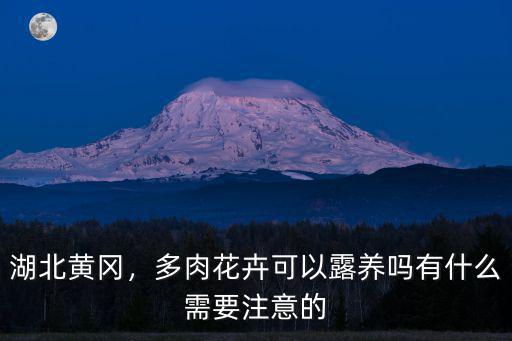 湖北直銷花卉怎么種植好,湖北黃岡適合種植什么花卉