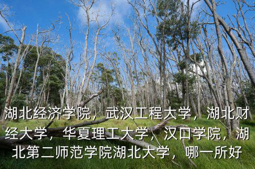 漢口站怎么去湖北第二師范學(xué)院,湖北第二師范學(xué)院湖北大學(xué)