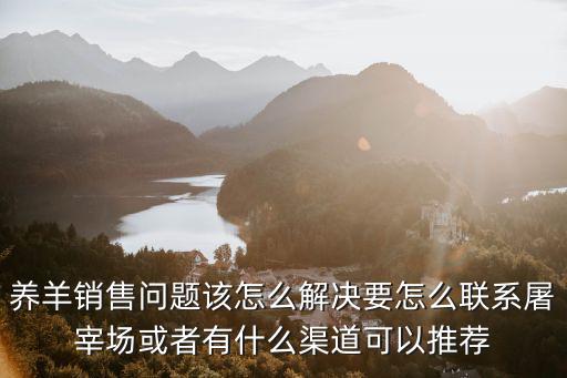 湖北羊肉屠宰場怎么聯系,要怎么聯系屠宰場