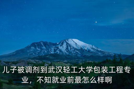中國輕工業武漢公司怎么樣,湖北的武漢輕工大學怎么樣