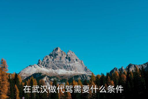 在武漢怎么樣注冊代駕,請問武漢代駕行情怎么樣