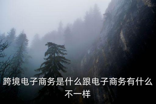 跨境電子商務(wù)是什么跟電子商務(wù)有什么不一樣