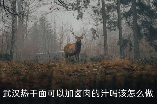 武漢熱干面可以加鹵肉的汁嗎該怎么做