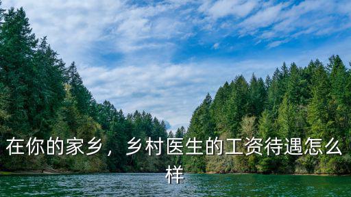 在你的家鄉，鄉村醫生的工資待遇怎么樣